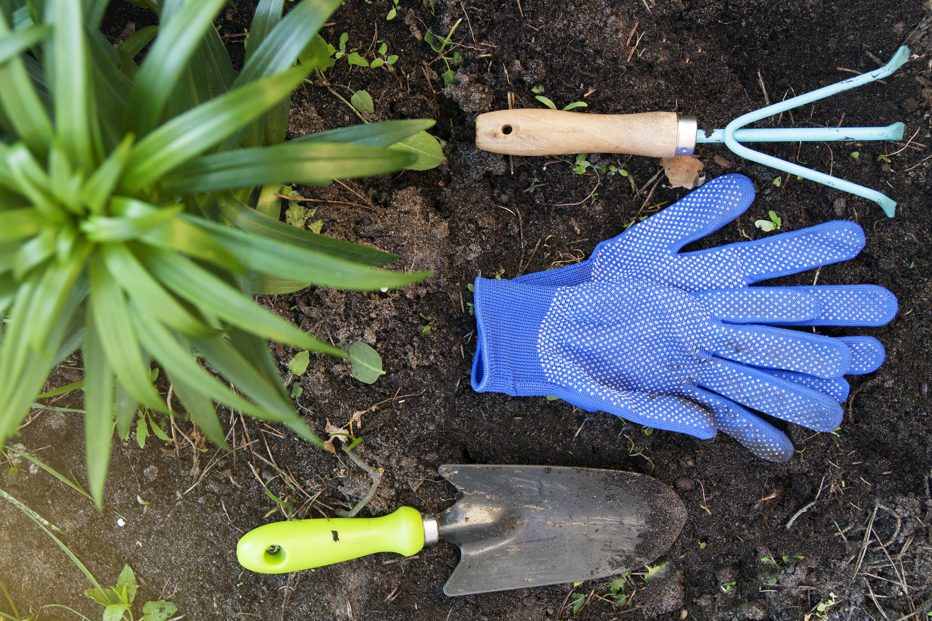 Rękawice ogrodowe i narzędzia ogrodnicze niezbędne w realizacji projektu ogrodu. Przygotowanie gruntu do sadzenia roślin w ogrodzie