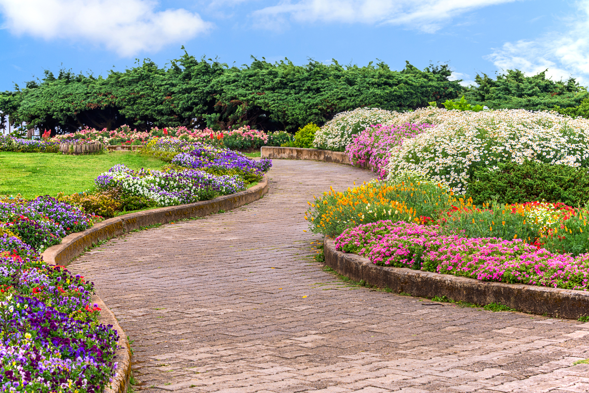 Architektura krajobrazu w ogrodzie. Ścieżka w ogrodzie udekorowana kwiatami